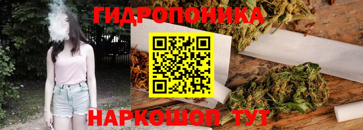 Марихуана White Widow  Конопля планчик  Вход с VPN  Зима 